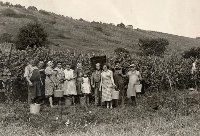 07 - Les vendanges autrefois