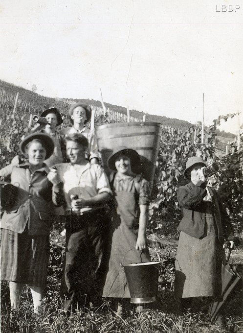 29 - Les vendanges ; devant, à gauche, Eugénie et Henri Stihlé