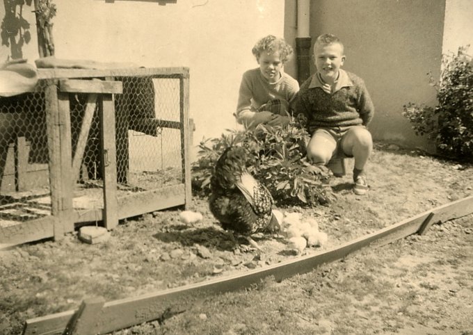 17 - Raymonde et Raymond en admiration devant une poule et ses poussins !