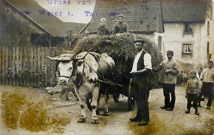 03 - La rentrée du foin vers 1930