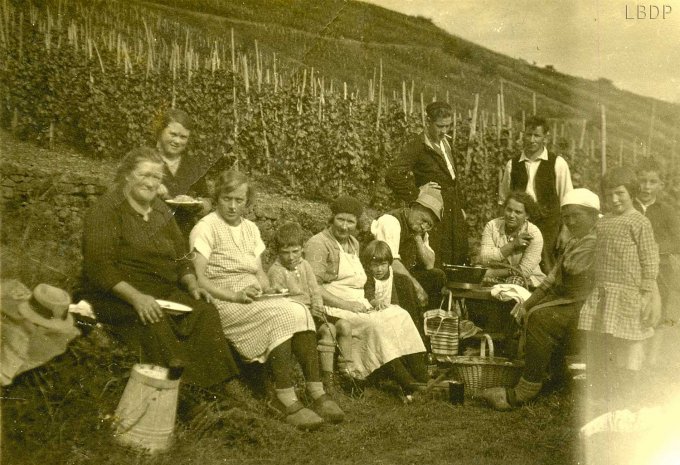 12 - Des vendanges vers 1938