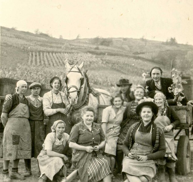 041 - Les vendanges chez Hurst à Turckheim, La femme de Hurst était une Baldenberger