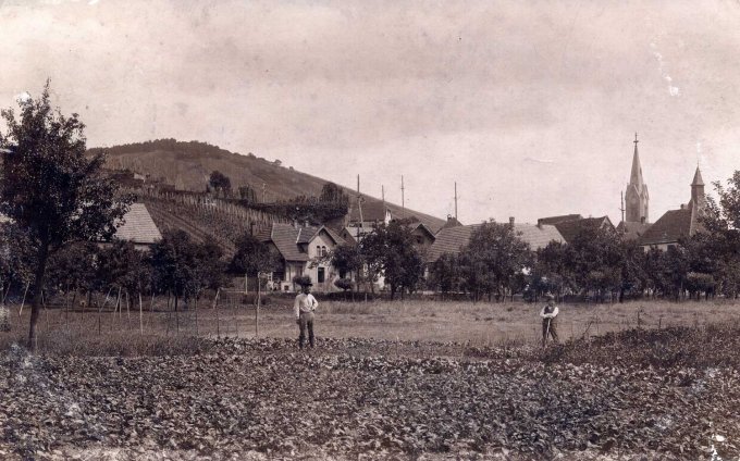 09 - Wihr au Val avant sa destruction le 18 juin 1940