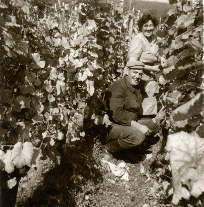 29 - Marinette et Théophile dans les vignes