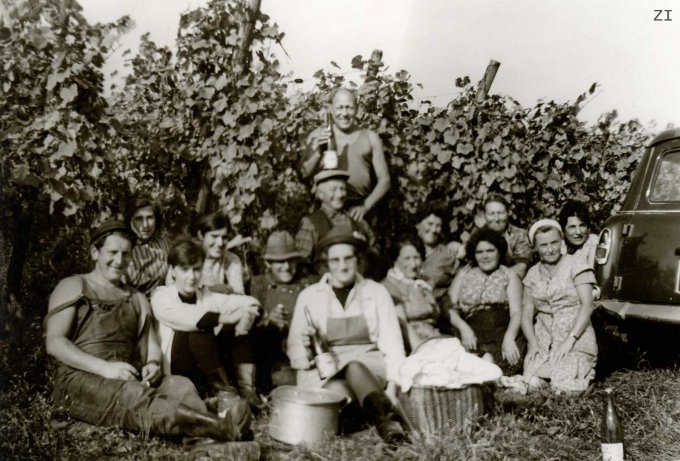 45 - Les vendanges en 1972