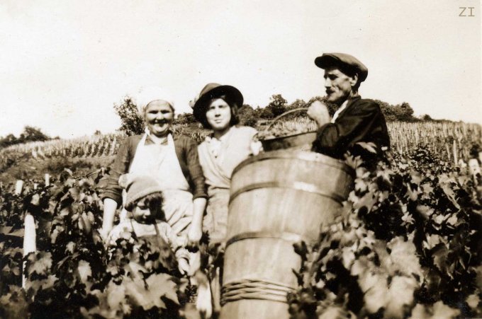 09 - Les vendanges à Wihr-au-Val en 1934