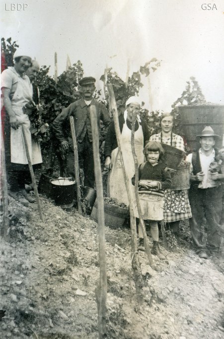 39 - Les vendanges en 1937